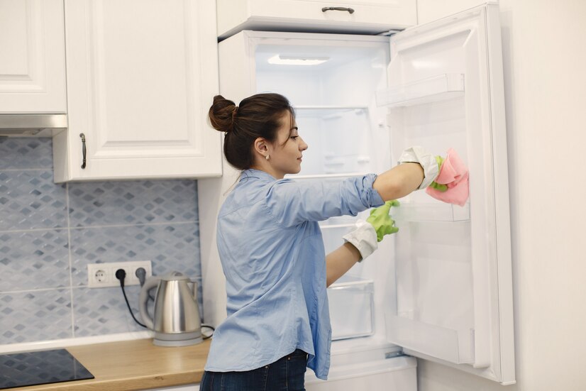 Refrigerator Services